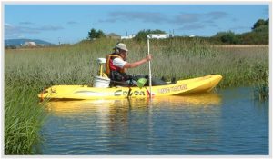 A man wearing headphones sits in a yellow kayak in a salt marsh at high tide with an acoustic hydrophone held in the water.