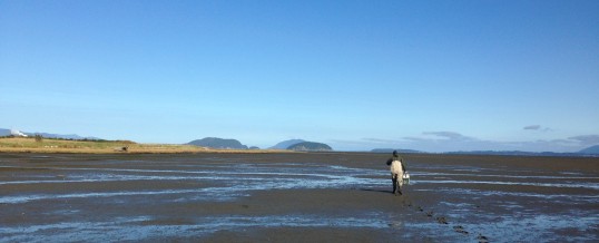 Padilla Bay Rapid Response: Day 2