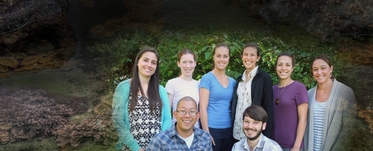 Welcome Six New Hershman Fellows