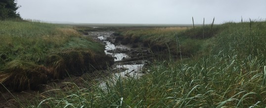 Crab Team Takes Willapa Bay by Storm!