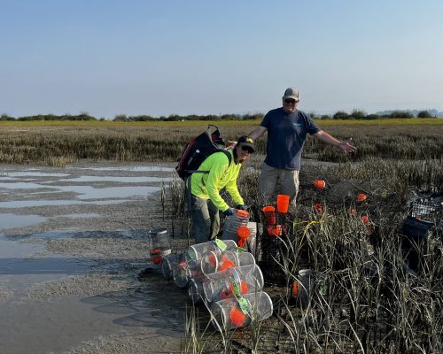 Stillaguamish biologists Franchesca Perez and Robbie Lamb typically monitor network sites at Davis Slough and Iverson Spit, this year, they got deeper in the mud with the first large scale assessment effort on Stillaguamish Tidelands. Photo: E. Grason/WSG Stillaguamish biologists Franchesca Perez and Robbie Lamb typically monitor network sites at Davis Slough and Iverson Spit, this year, they got deeper in the mud with the first large scale assessment effort on Stillaguamish Tidelands. Photo: E. Grason/WSG