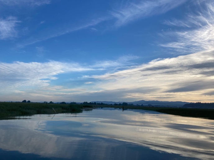 Stillaguamish estuary