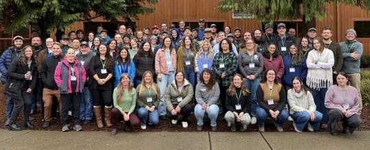 2025 Salish Sea Green Crab Summary