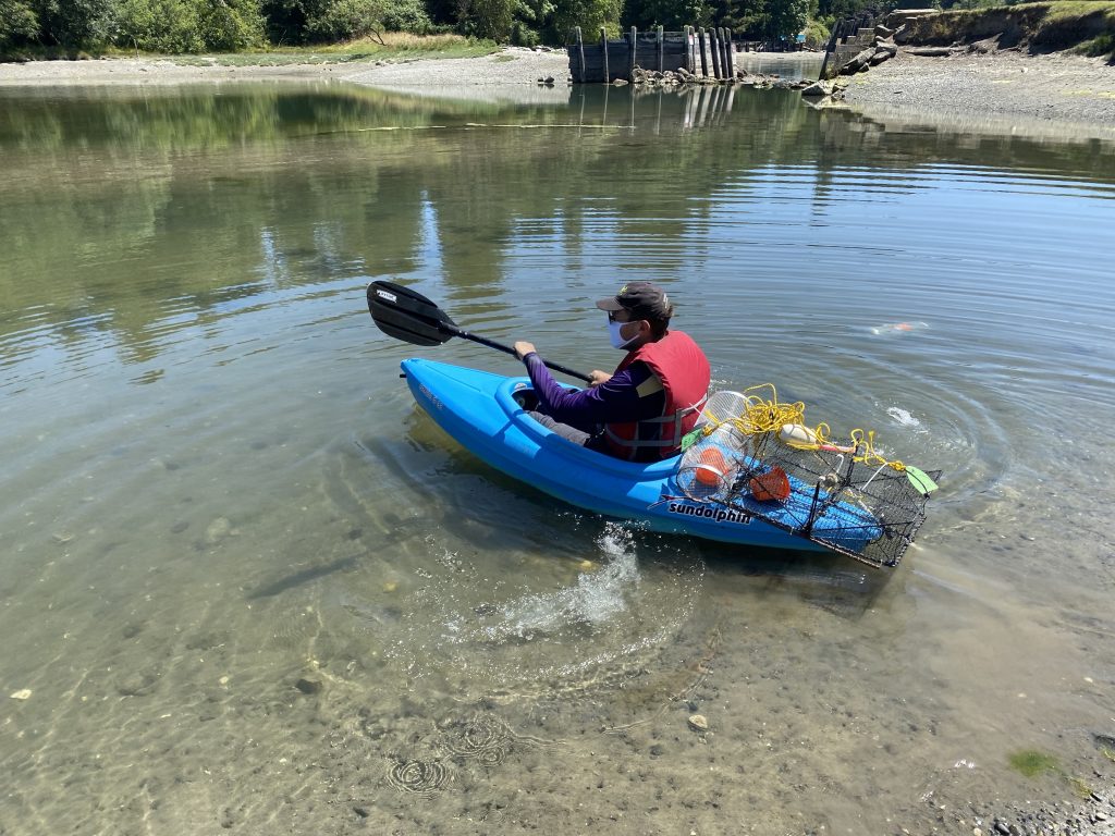 Environmental DNA (Part 4) The Vashon Island Mystery Washington Sea