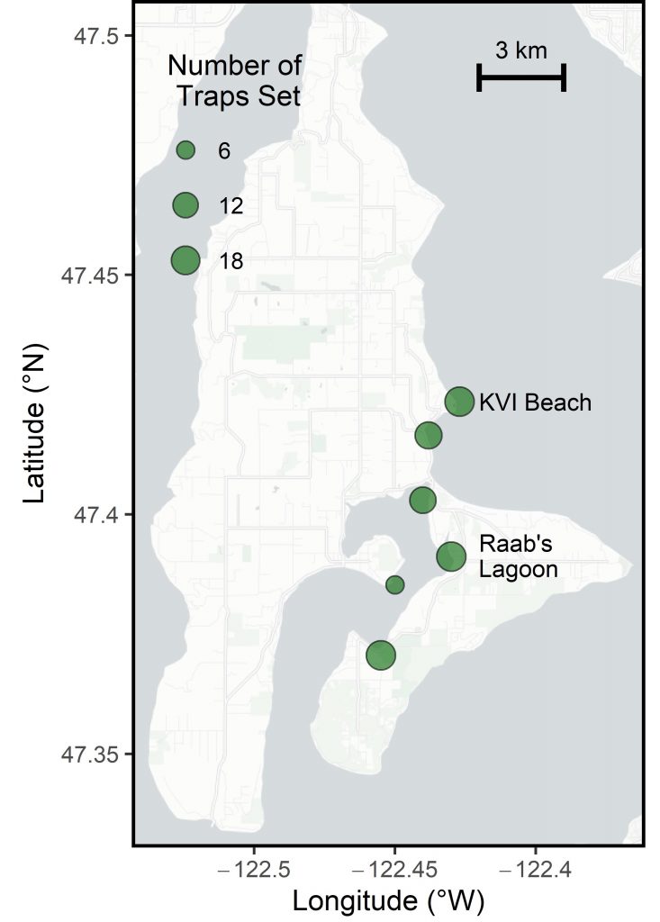 Environmental DNA (Part 4) The Vashon Island Mystery Washington Sea Grant