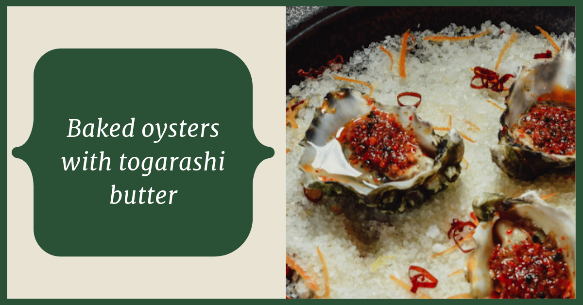 Baked oysters with togarashi butter recipe Washington Sea Grant