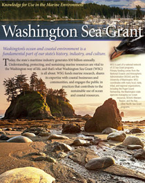 WSG 4-page brochure image