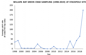 A graph showing an increase in average catch rates of European green crab