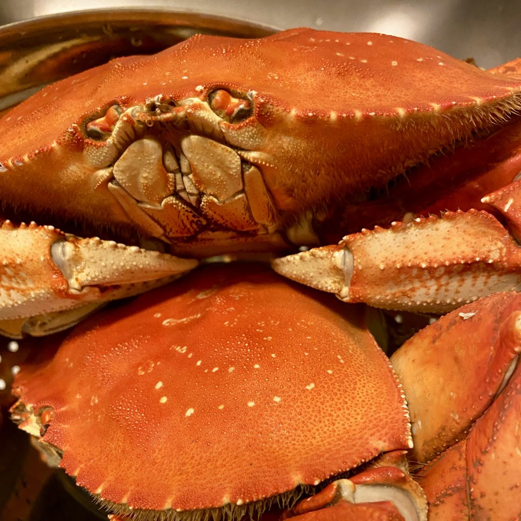 Local And Coastal Whole Dungeness Crab Washington Sea Grant