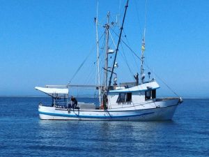 Commercial Fishing Methods: Trolling