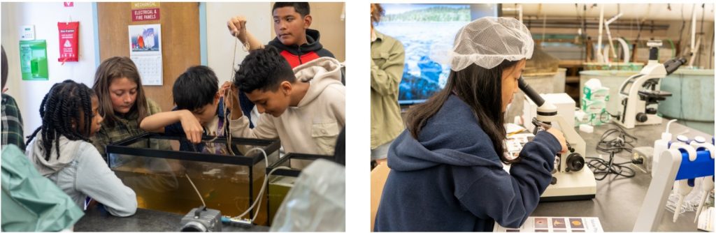 Two photos side by side. The first one shows students gathered around a tank filled with brown water. The second shows a student wearing a hairnet looking through a microscope.