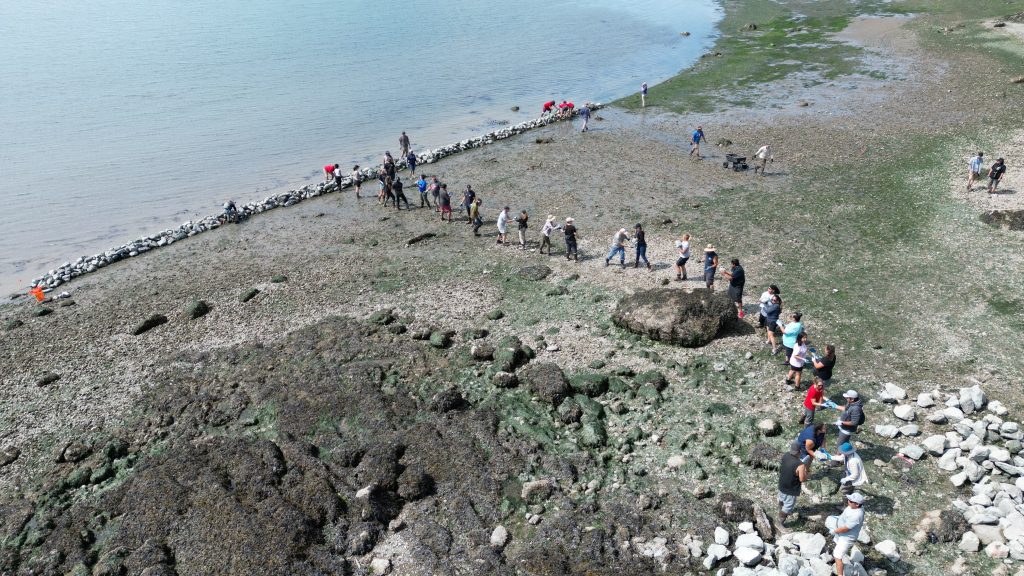 A line of people on the beach passing rocks from one another
