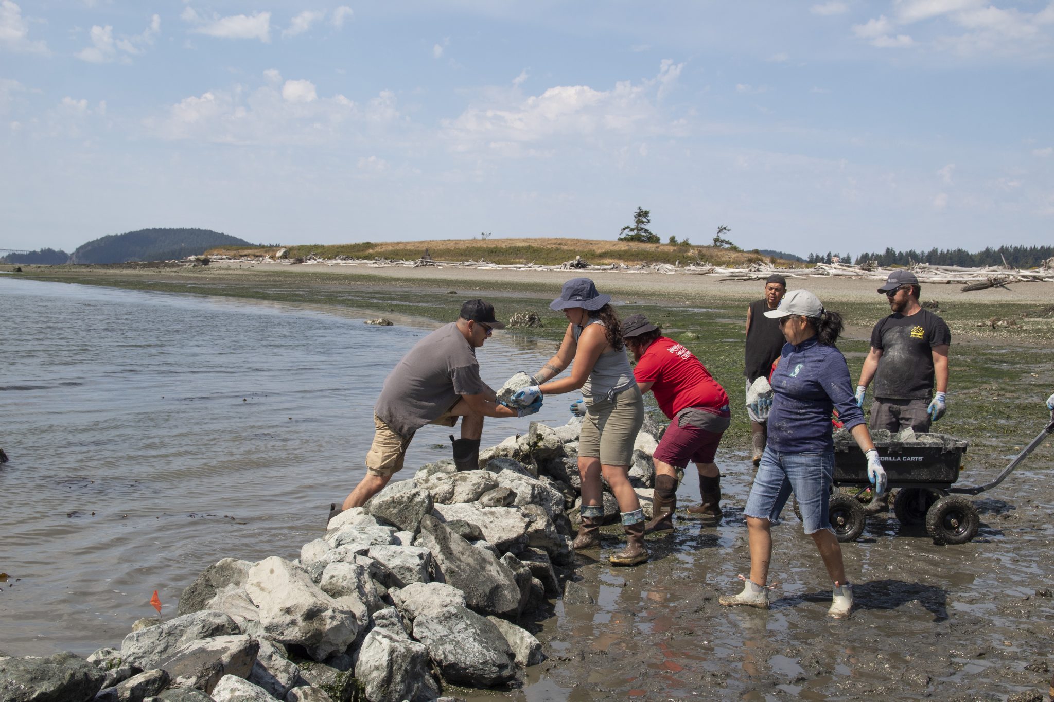 Restoring tradition, place and connection through a clam garden ...