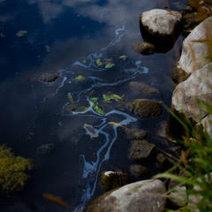 An oil sheen appears along the shore of the Kalamazoo River in August 2012. In July 2010, more than 800,000 gallons of tar sands oil entered Talmadge Creek and flowed into the Kalamazoo River, a Lake Michigan tributary. Heavy rains caused the river to overtop existing dams and carried oil 30 miles downstream.